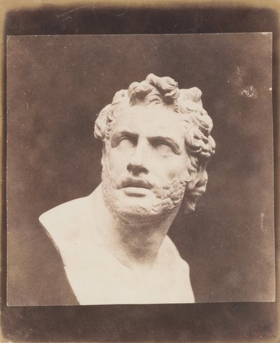 Bust of Patroclus by William Henry Fox Talbot